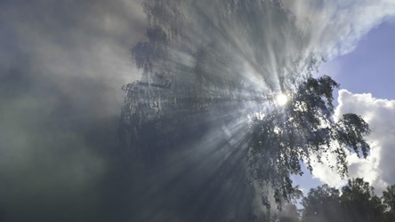 Similar image 22462155