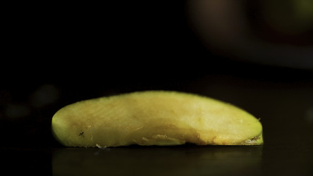 Similar image 22459971