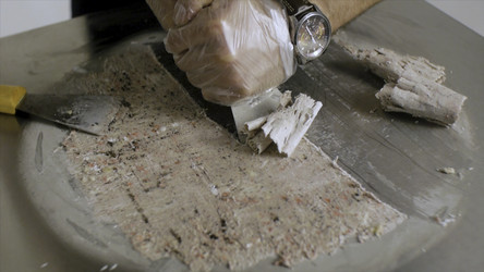 Similar image 22460046