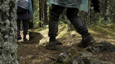 Similar image 22460120