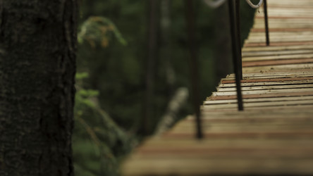 Similar image 22462171