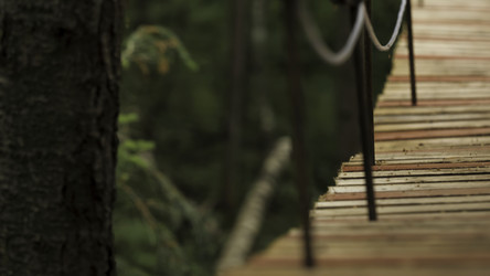 Similar image 22458310