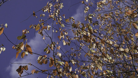 Similar image 22458353