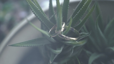 Similar image 22458372