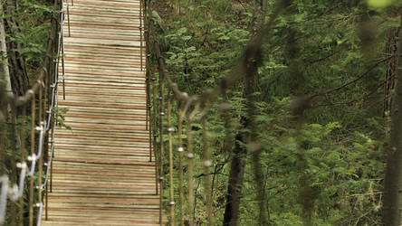 Similar image 22458429