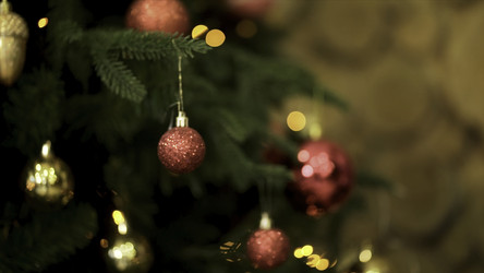 Similar image 22458474