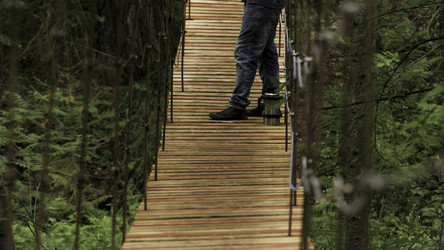 Similar image 22459539