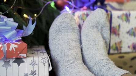 Similar image 22462758