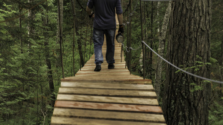 Similar image 22462832