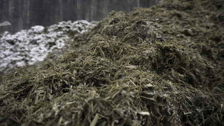 Similar image 22462876