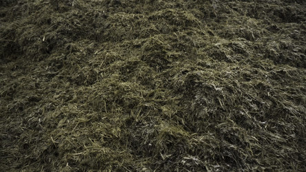 Similar image 22462979