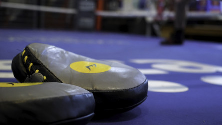 Similar image 22462995