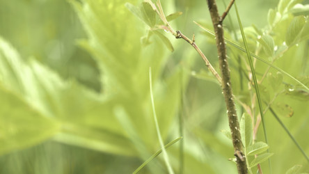 Similar image 22463025