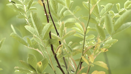 Similar image 22460017