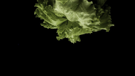 Similar image 22462053