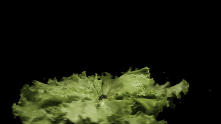 Similar image 22462322