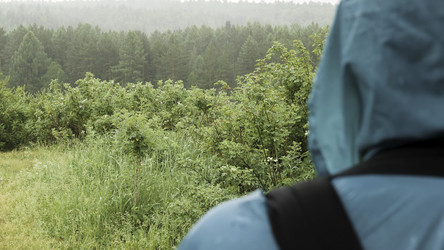 Similar image 22458355