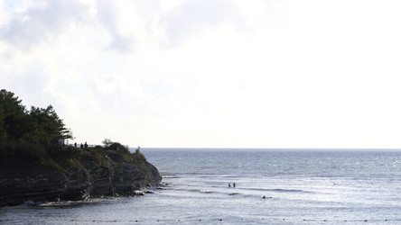 Similar image 22458822