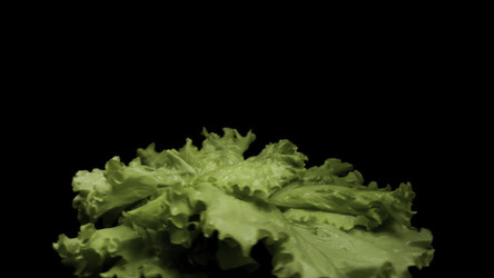 Similar image 22458924