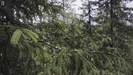 Similar image 22459914