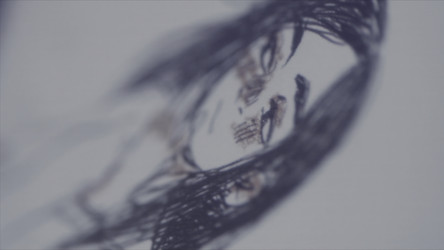 Similar image 22462966