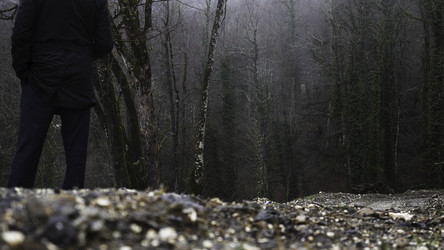 Similar image 22462980