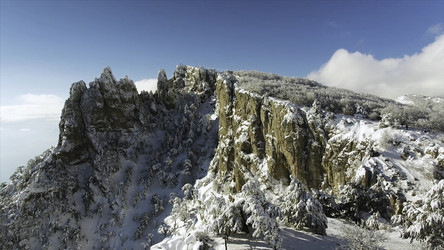 Similar image 22463040