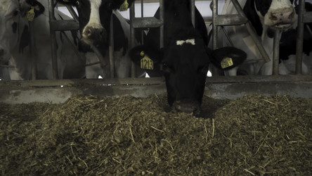 Similar image 22463055