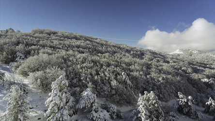 Similar image 22463294