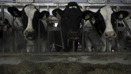 Similar image 22463309