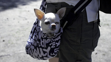 Similar image 22463428