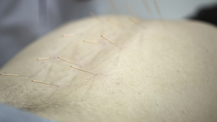 Similar image 22463504