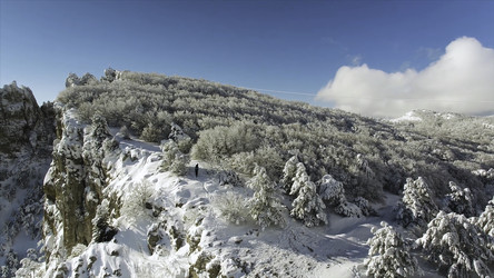 Similar image 22463549