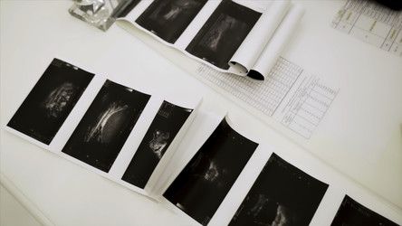 Similar image 22463579