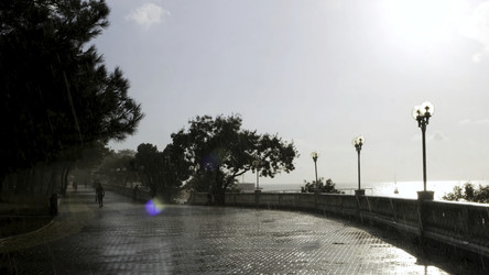 Similar image 22463594