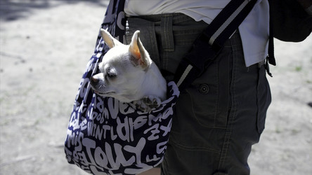 Similar image 22463669