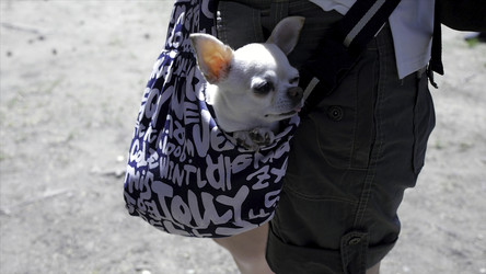 Similar image 22463821