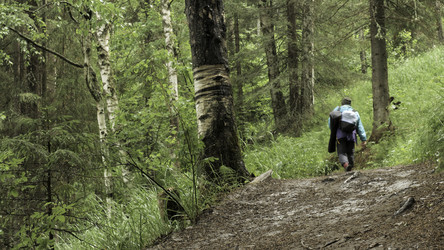 Similar image 22464004