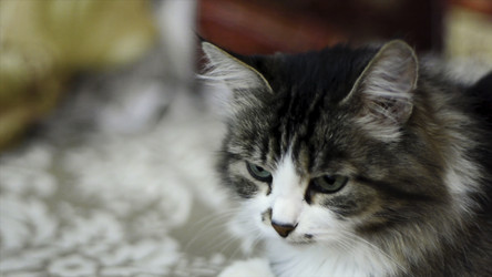 Similar image 22462399