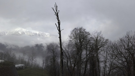 Similar image 22462443