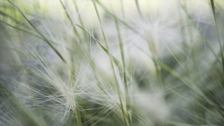 Similar image 22462533