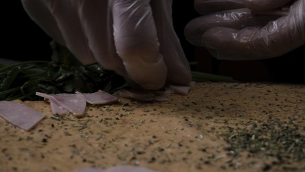 Similar image 22462639