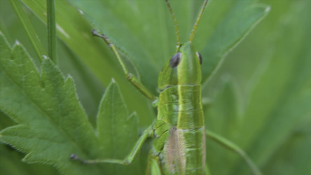 Similar image 22462640