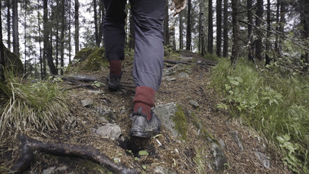 Similar image 22462684