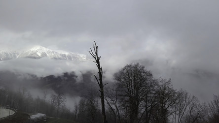 Similar image 22462685