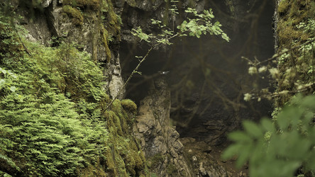 Similar image 22462731