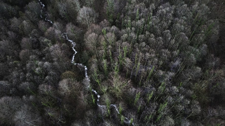 Similar image 22462746