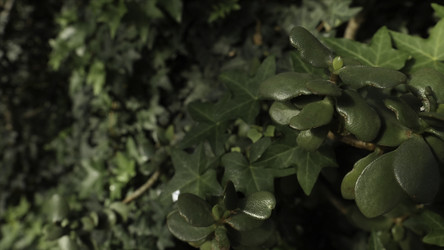 Similar image 22462775