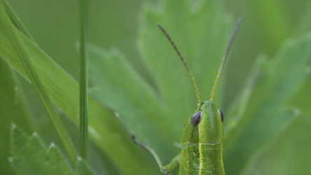 Similar image 22458419