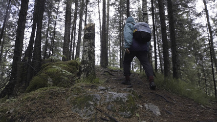 Similar image 22458464